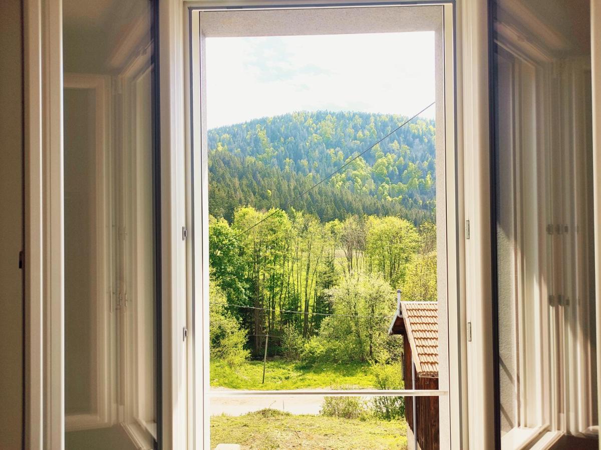 ⁂⁂ LE CHAMOIS Appartement [CLEDICIHOME] / Magnifique vue sur les montagnes / 4 KMs DE GERARDMER ! ⁂⁂ Rochesson Extérieur photo